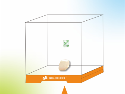 防霉片小測(cè)試